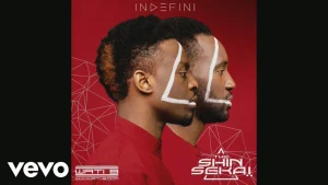 maxresdefaultthe shin sekai pour toi audio 2