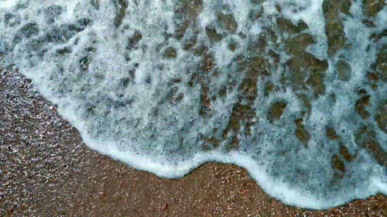 4k free stock video calm summer sea waves royalty free beach footage 4K Free Stock Video: Calm Summer Sea Waves | Royalty-Free Beach Footage MUSIVEO
