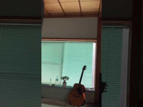 愛のままを カネコアヤノ 弾き語り